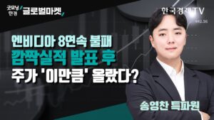 엔비디아 8연속 불패ㅣ깜짝실적 발표 후 주가 '이만큼' 올랐다?ㅣ송영찬 한국경제신문 실리콘밸리특파원ㅣ굿모닝한경글로벌마켓