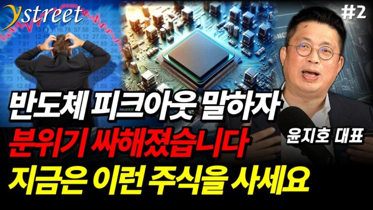 “반도체 정말 피크아웃?” 공포에 휩싸인 시장…이런 주식이 안전합니다 / 윤지호 대표 (2부)