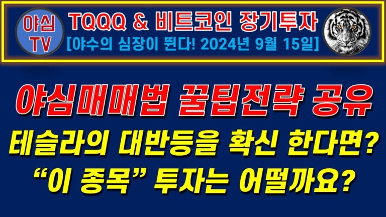 [TQQQ BTC 실전투자] 야심매매법 꿀팁전략 공유! 테슬라의 대반등을 확신 한다면? 이 종목 투자 어떨까요?[TQQQ BTC 장기투자ㅣ도전! 월배당 천만원ㅣ노후준비ㅣ야심매매법]