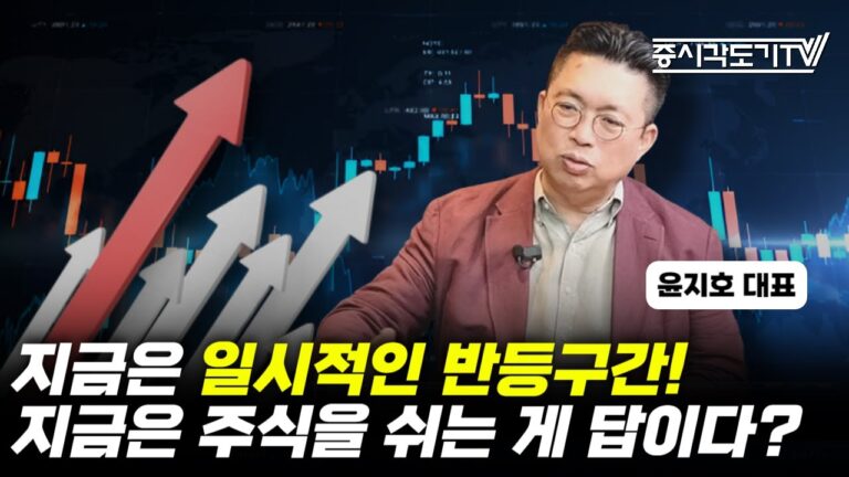 지금은 일시적인 반등구간! 지금은 주식을 쉬는 게 답이다? | 윤지호 대표 #2 [투자Insight]