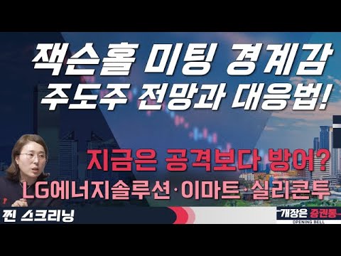 잭슨홀 미팅 경계감…주도주 전망과 대응법! 소외주는 기싸움?  (f. 파월·2차전지) 박진희 부장 #박진희 #찐스크리닝 #개장은증권통