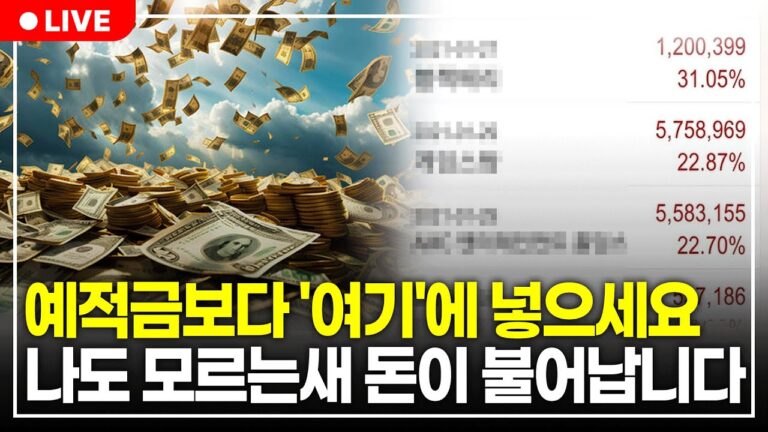 주식으로 돈 벌고 싶다면 이 4가지만 사모으세요. 월 300씩 배당금 나옵니다. (구해줘월부 주식상담)