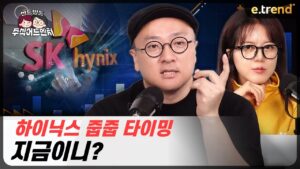 SK하이닉스 줍줍 타이밍, 지금이니? | 이안 전문가 , 뺘뺘