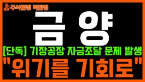 [금양 주가 전망] 단독! 기장공장 자금조달 문제 발생했다!! 하지만 "위기를 기회로" 바꿀 수 있겠네요! 반드시 시청하시고 대응하세요!!