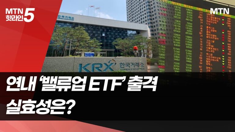 연내 ‘밸류업 ETF’ 출격…실효성 두고 의견 ‘분분’ / 머니투데이방송 (뉴스)