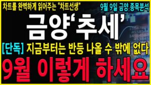 [금양 주가 전망] "이 때"까지 흔들리지 말자! 유상증자 불확실성 확대로인한 하락흐름 분명히 불확실성해소시 강한 반등흐름은 발생됩니다! #에코프로 #에코프로비엠 #금양