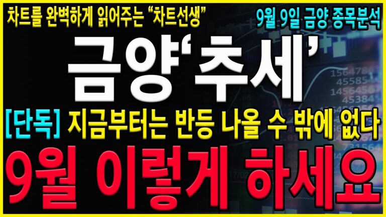 [금양 주가 전망] “이 때”까지 흔들리지 말자! 유상증자 불확실성 확대로인한 하락흐름 분명히 불확실성해소시 강한 반등흐름은 발생됩니다! #에코프로 #에코프로비엠 #금양