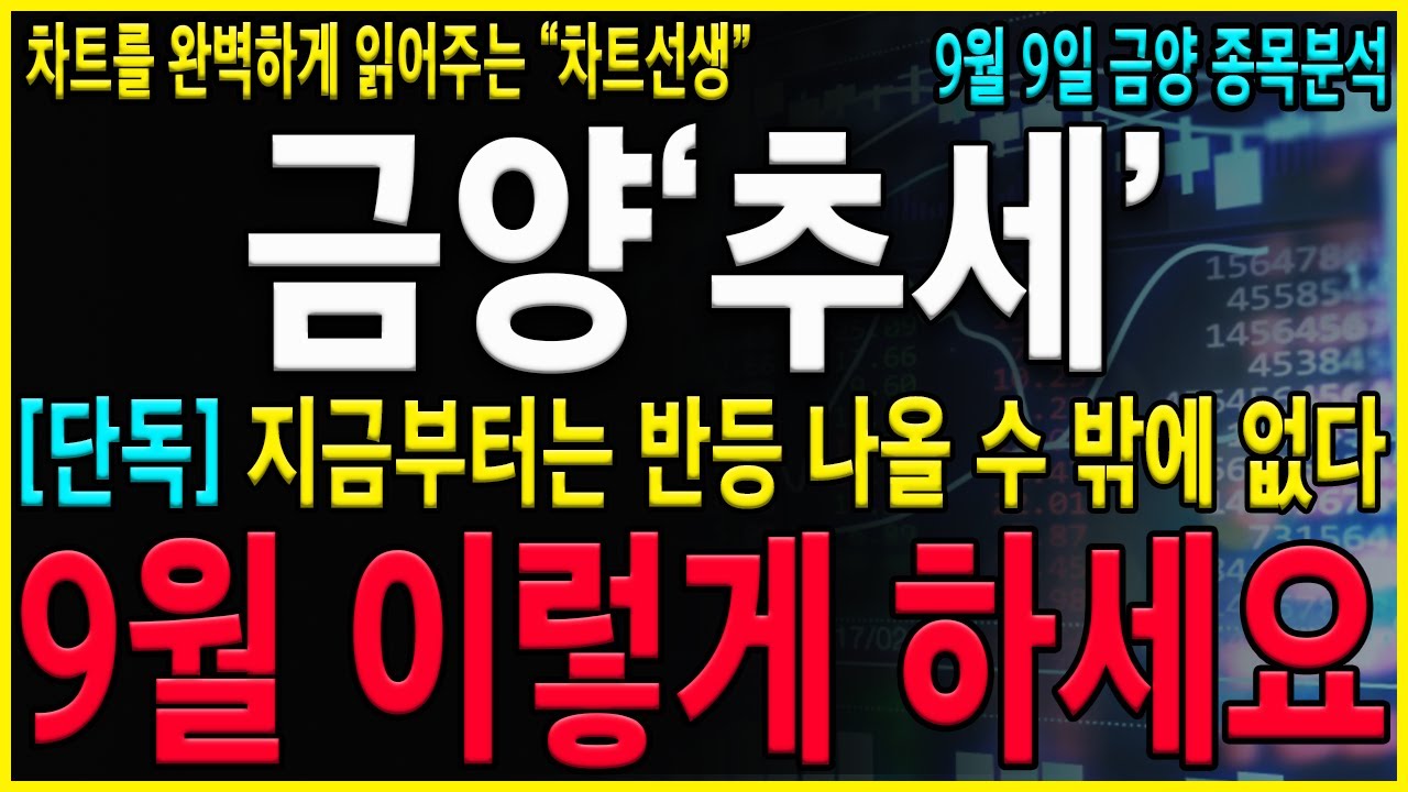 [금양 주가 전망] "이 때"까지 흔들리지 말자! 유상증자 불확실성 확대로인한 하락흐름 분명히 불확실성해소시 강한 반등흐름은 발생됩니다! #에코프로 #에코프로비엠 #금양