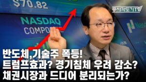 [미국마감] 반도체,기술주 폭등! 트럼프효과? 경기침체 우려 감소? 채권시장과 드디어 분리되는가?