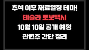 테슬라 로보택시 10월10일 공개 예정 관련주 정리