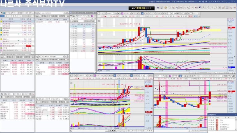나르샤주식부자TV  9월  19일  100% 수익을 뽑아주는 실전 주식트레이딩, 주식초보, 주식공부방, 단타방,  스윙, 매매 자리 찾는 방법