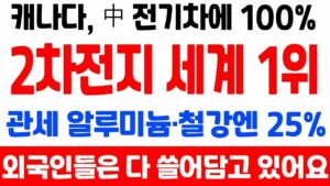 [상한가] 포스코홀딩스 말고 2차전지 대장주 '이 기업' 9월 세계 1위 됩니다![2차전지관련주, 에코프로비엠, 주식전망, 엘앤에프, 포스코홀딩스, 9월주식전망]