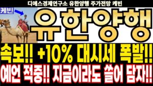 유한양행 주가전망] 속보!! +10% 대시세 폭발!! 예언 적중!! 지금이라도 쓸어 담자!! feat.디에스경제연구소 케빈