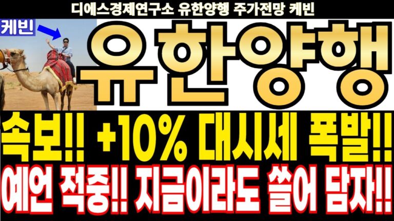 유한양행 주가전망] 속보!! +10% 대시세 폭발!! 예언 적중!! 지금이라도 쓸어 담자!! feat.디에스경제연구소 케빈