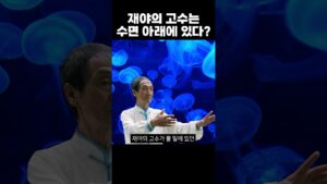 주식 고수랑 나랑 무슨 상관이냐