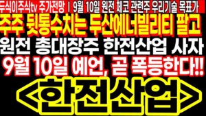 한전산업 예언, 곧 폭등합니다!! 두산에너빌리티 주주 뒷통수치는거 팔고, 원전 총대장주 한전산업 사자!! ft.두식이주식tv 체코원전 관련주 우리기술 목표가 주가전망