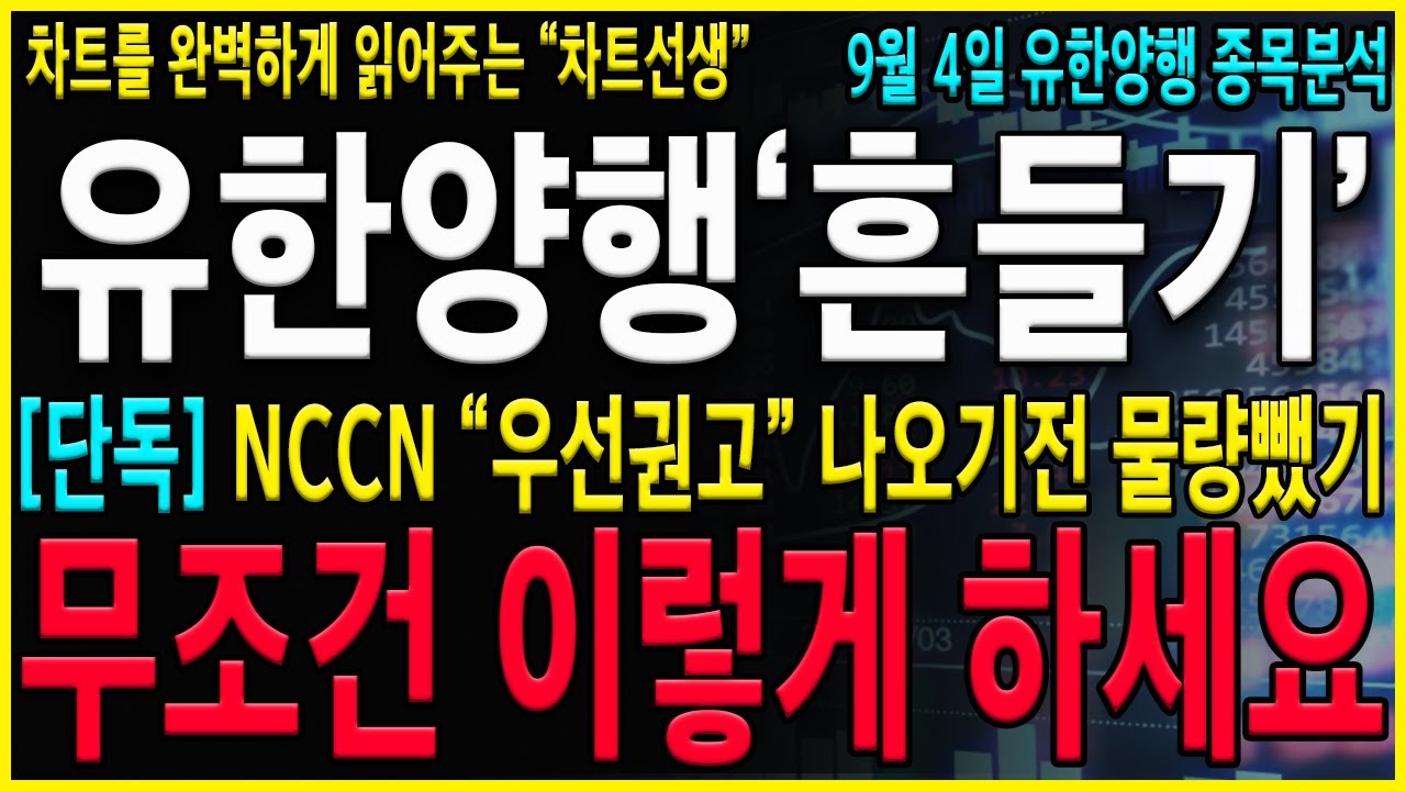 [유한양행 주가 전망] "긴급" 기관 + 외국인의 9월 美폐암학회전 흔들기 절대로 "이 때"까지는 털리시면 안됩니다. 단기적인 급등이 나올 수 밖에 없습니다. #오스코텍#유한양행