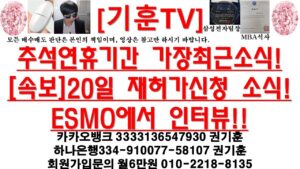 [주식투자]HLB(추석연휴기간 가장최근소식![속보]20일 재허가신청 소식!ESMO에서 인터뷰!!)