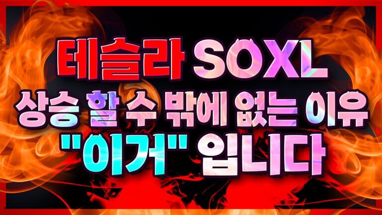 (*곧 비공개) 테슬라 SOXL 상승 할 수 밖에 없는 이유 “이거” 입니다.