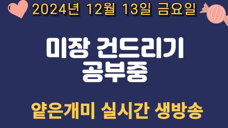 미장 얕은개미 / 미장 공부중