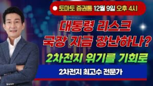 대통령 리스크 국장 지금 장난하나 2차전지 위기를 기회로  토마토 증권통 live ★마제스터 전문가★