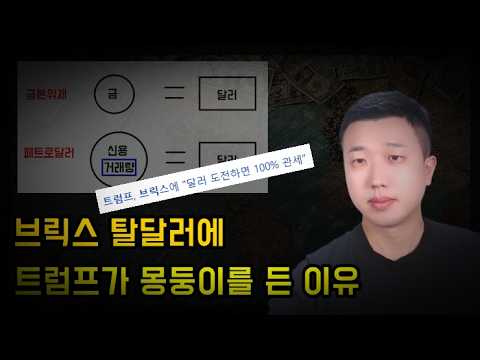 브릭스 탈달러에 100% 관세 몽둥이를 든 트럼프(ft.비트코인)