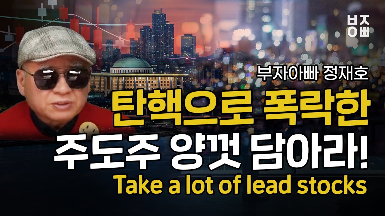 탄핵으로 폭락한 주도주 양껏 담아라 | Take a lot of lead stocks