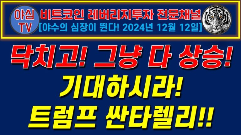 [BTC 레버리지 실전투자] 닥치고! 그냥 다 상승! 기대하시라! 트럼프 싼타렐리!! [경제적자유ㅣ확실한 노후준비ㅣ야심매매법]