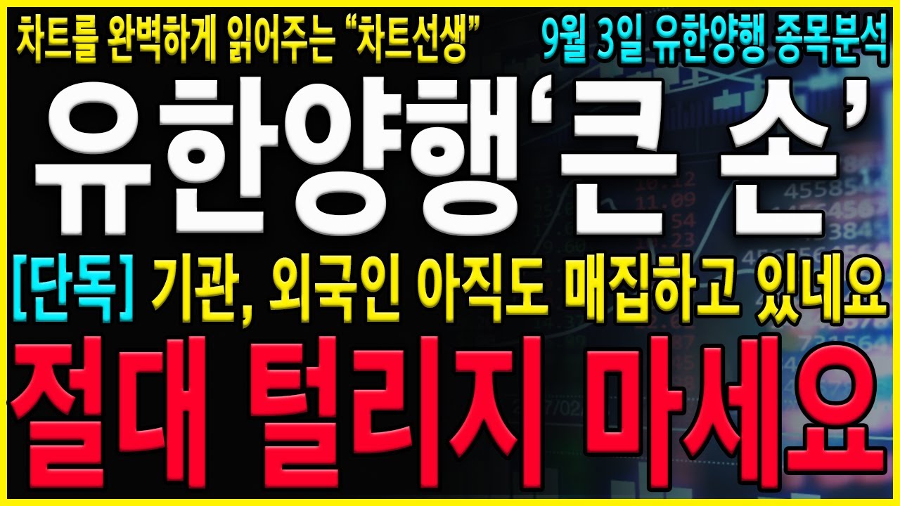 [유한양행 주가 전망] "긴급" 급등이 지금 안나오는 진짜 이유! 아직도 세력들은 매집중 입니다! 절대 "이 가격" 까지는 지금구간에서 털리시면 안됩니다! #오스코텍#유한양행