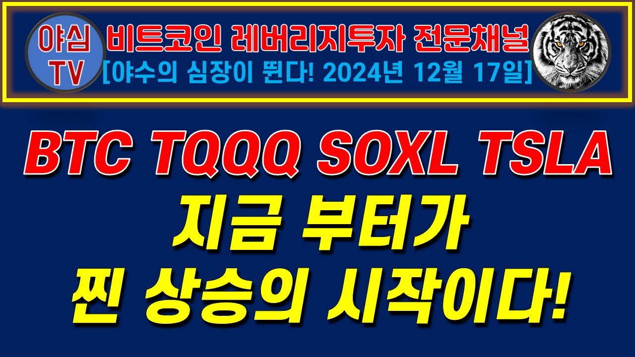 [BTC 레버리지 실전투자] BTC TQQQ SOXL TSLA 지금부터가 진짜 상승의 시작이다!  [경제적자유ㅣ확실한 노후준비ㅣ야심매매법]