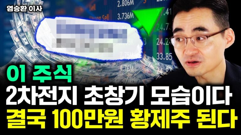 이 주식, 2차전지 초창기 모습이다. 곧 전세계 돈 싹슬이 한다｜염승환 이사 3부