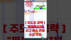 2024년 09월 13일 [ 주도주 공략 : 파마리서치 ] 리쥬란 브랜드의 성장 잠재력에 주목 하자! #리쥬란 #미용의료기기 #파마리서치