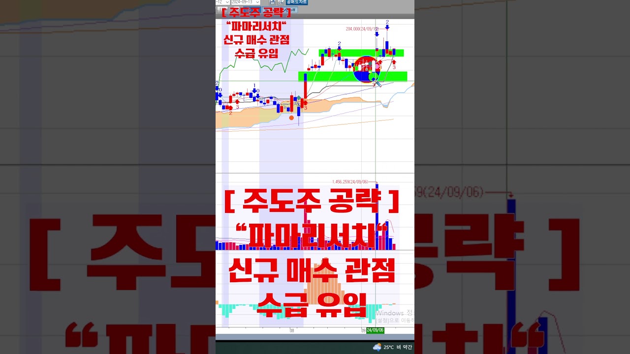 2024년 09월 13일 [ 주도주 공략 : 파마리서치 ] 리쥬란 브랜드의 성장 잠재력에 주목 하자! #리쥬란 #미용의료기기 #파마리서치