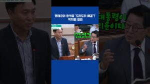 명태균 윤석열 도리도리 박지원 질의 국정감사 검찰청