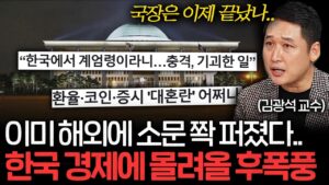 이런 위기 상황은 평생 처음 봅니다. 한국 경제에 후폭풍이 몰려온다 (김광석 교수)