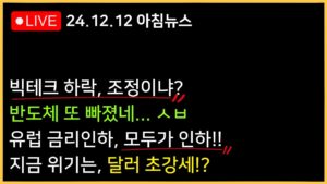 유럽 25bp, 스위스 50bp 금리인하 랠리 시작!!ㅣ달러 초강세, 시장 발목 잡는다?ㅣ반도체 하락, 한국은 오늘도...??