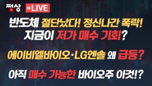 [8월 29일 개장 흐름] 반도체주 절단났다! 하지만 지금 저가 매수 가능? 반짝하고 사라진 자율주행? 바이오·2차전지 상승세? #쩜상시크릿