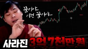 하루 만에 3억 7천을 잃은 사람 He lost $370K in one day[SUB]