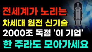 [주식] 전세계가 노리는 차세대 원전 신기술 2000조 독점 '이 기업' 한 주라도 모아가세요 30배 성장합니다 [두산에너빌리티, 두산중공업, 한전기술, 보성파워텍, 대한전선]