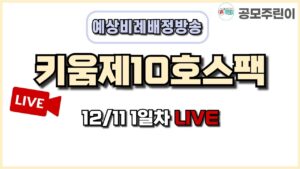 [공모주 비례배정 LIVE] 키움제10호스팩 공모주 12월 11일 1일차 예상 비례배정수량 방송