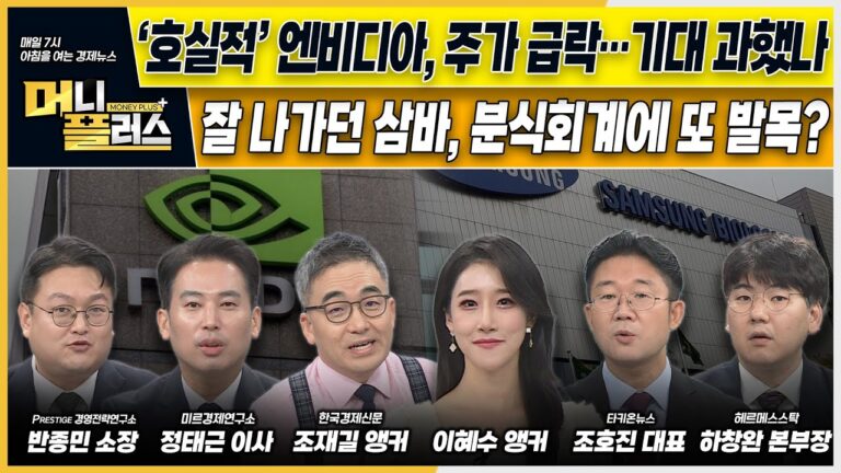 ‘호실적’ 엔비디아, 주가 급락…K반도체 영향은ㅣ잘 나가던 삼바, 분식회계에 또 발목?ㅣ파업 암초 만난 조선업계ㅣ[#이슈N전략]ㅣ머니플러스