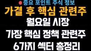 [특별 관련주] 가결 이후 월요일 시장 가장 정책 관련주 6가지 섹터 총 정리