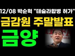 에코프로,금양 2차전지 박순혁-금감원 주말회의 하필 주말에 발표떳네요 #에코프로 #에코그로비엠 #금양