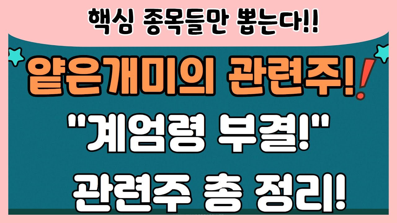 [관련주] 얕은개미의 핵심 관련주 정리! / 계엄령 사태 부결 인물 한동훈, 한덕수/ 가장 가능성 높은 관련주들 총정리 /