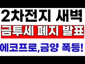 에코프로,금양 2차전지 추석 금감원발표 금투세폐지 합의 난리낫다! 박순혁 "감사합니다" #에코프로 #에코그로비엠 #금양