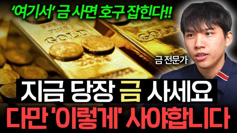 “지금 당장 금 사세요” 다만 ‘이렇게’ 사야합니다 (양베리 조규원 작가 2부)