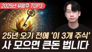 2025년 오기전 쌀 때 미리 사 모으면 좋은 주식 3개 (2025년 유망주 TOP3, 외국인 주식)
