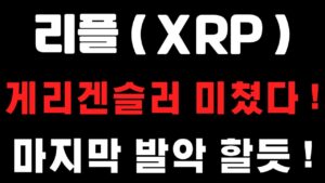 [리플코인] 게리겐슬러 미쳤다 ! 마지막 발악 할듯 ! (불독코인,비트코인,급등코인,코인단타)