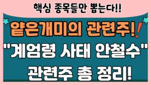 [관련주] 얕은개미의 핵심 관련주 정리! / 계엄령사태 대비 관련주들! / 안철수 관련주들의 부각 가능성? /
