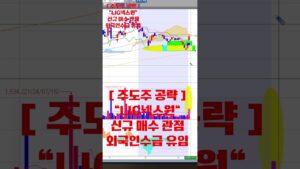 2024년 9월 12일 [ 주도주 공략 : LIG넥스원 ] 강한 상승 차트를 만들어 내다. #방위산업 #급등 #주식